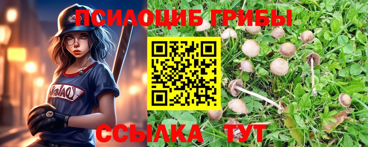 Галлюциногенные грибы мицелий Фурманов